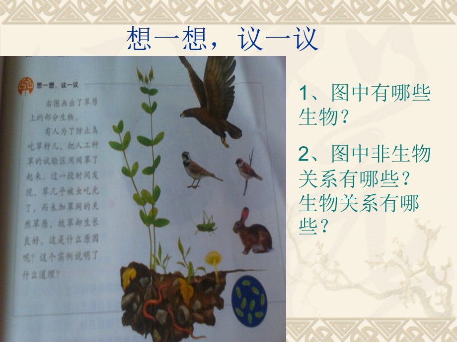 新人教版第二节生物与环境组成生态系统.ppt_第3页