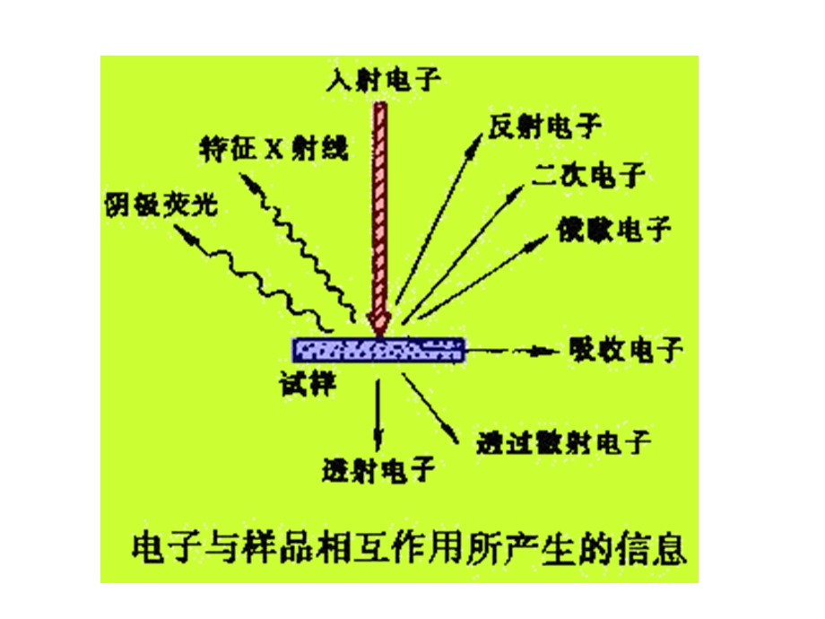 电子与物质的相互做用.ppt_第2页