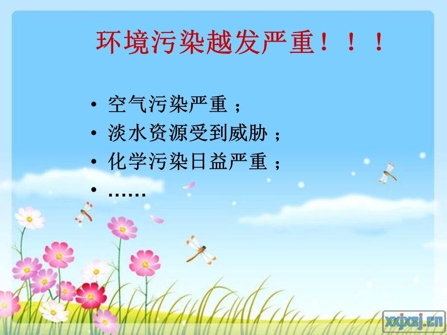 生态文明,从我做起.ppt_第2页