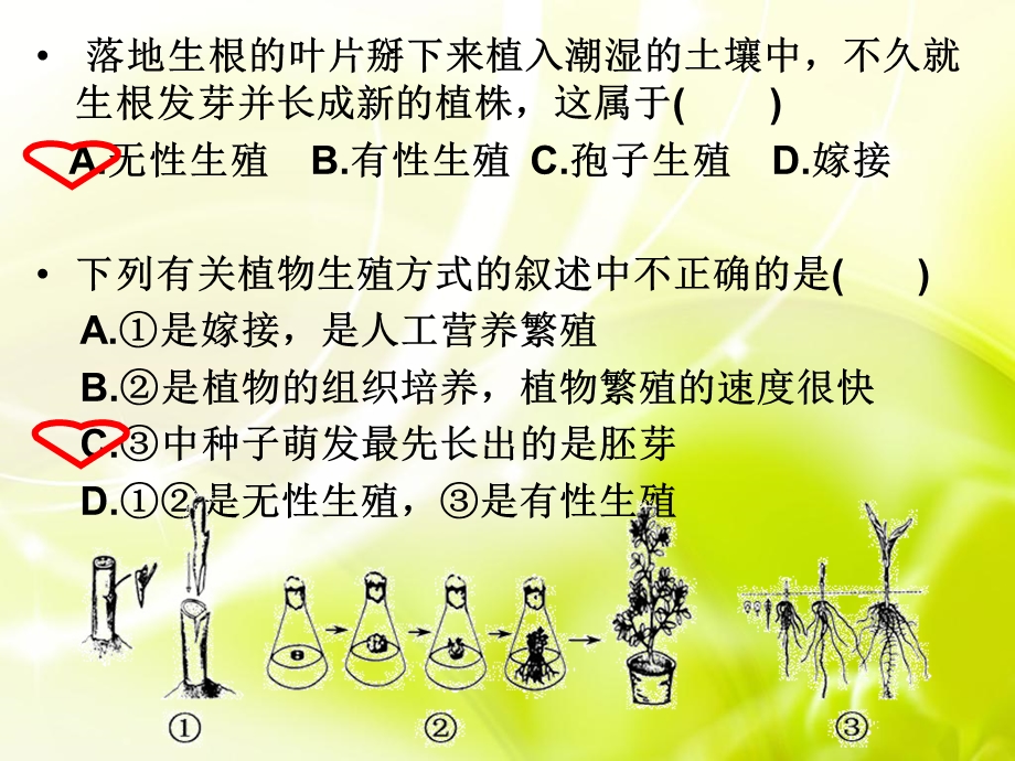 生物的生殖和发育练习.ppt_第3页