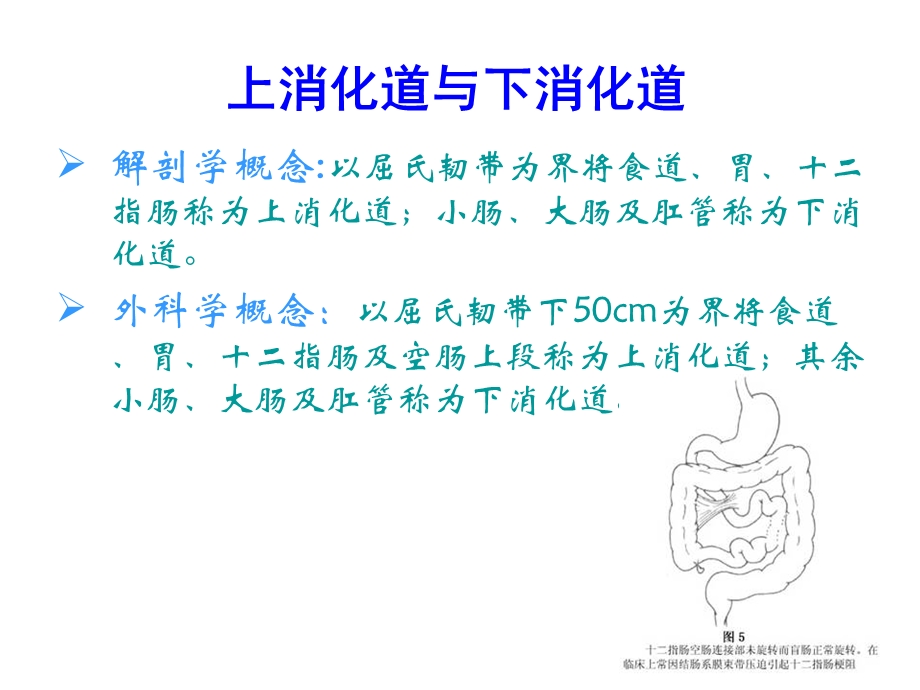 消化道大出血的鉴别诊断和处理原则.ppt_第2页