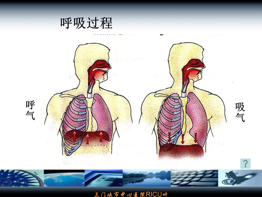 机械通气参数设置与调节讲.ppt_第2页