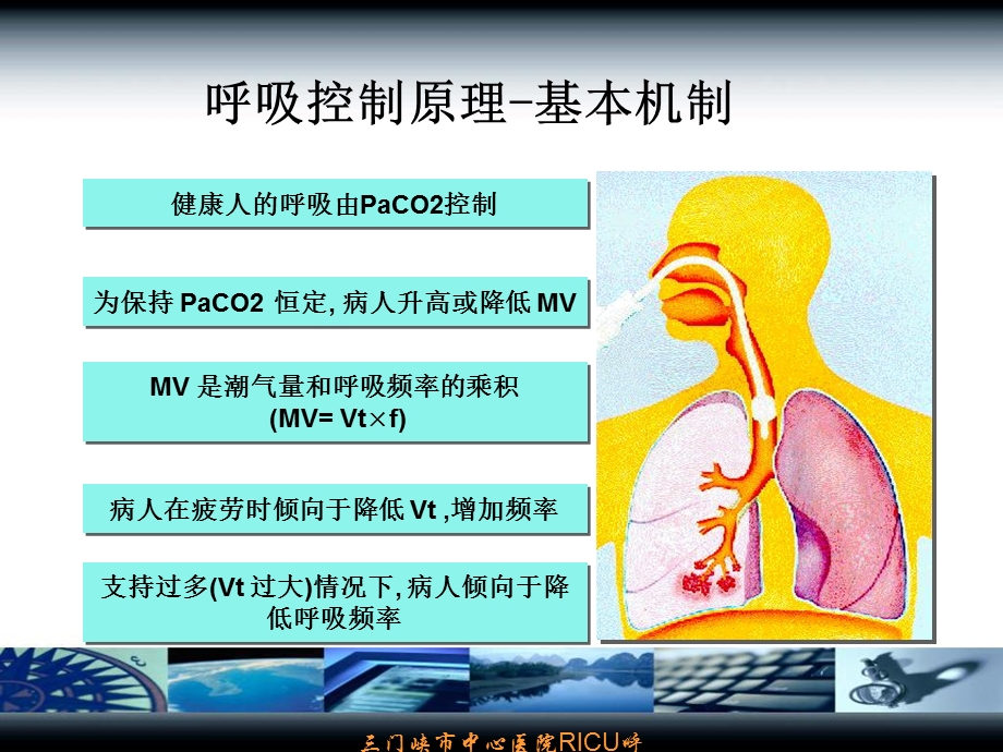 机械通气参数设置与调节讲.ppt_第3页