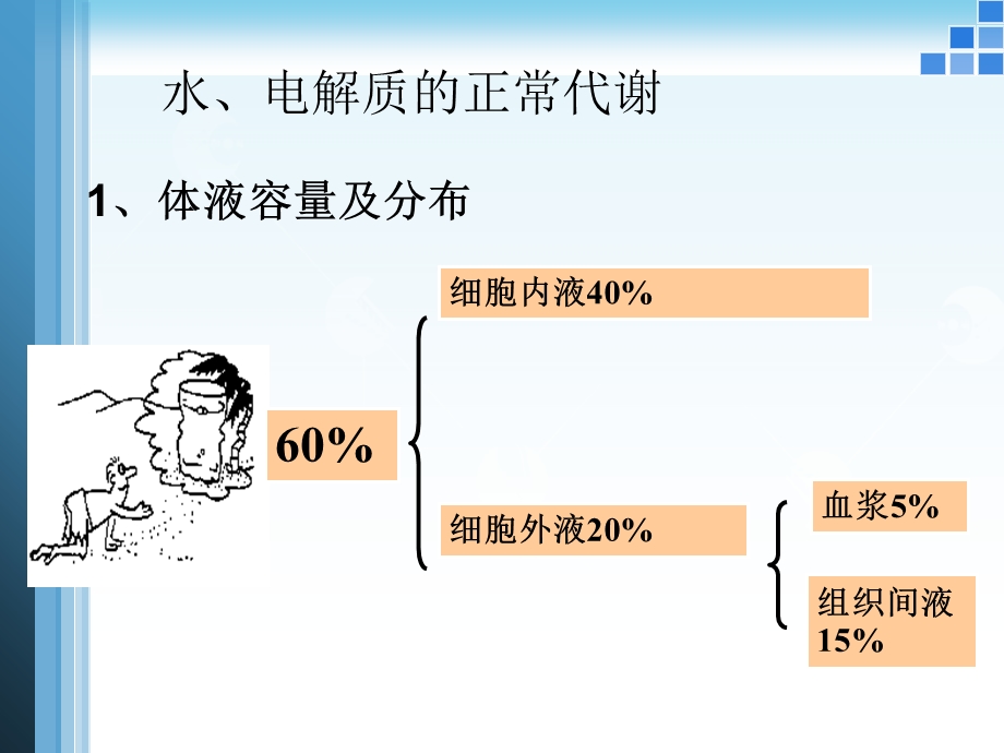 水、电解质紊乱(多2).ppt_第2页