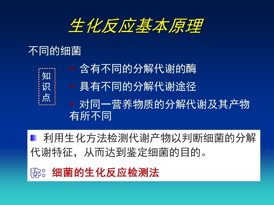 生化反应与血清学鉴定.ppt_第3页