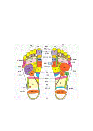 足底按磨的穴位对应器官图解.doc