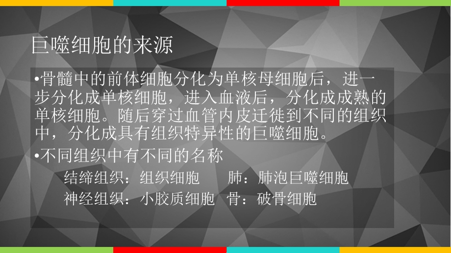 巨噬细胞介绍及其与肿瘤细胞的关系.ppt_第3页