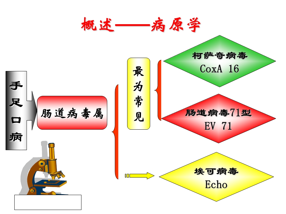 培训资料-手足口病医院感染预防与控制.ppt_第3页