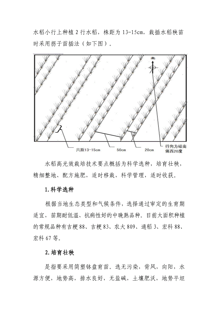 辉南县水稻高光效栽培技术1.doc_第3页