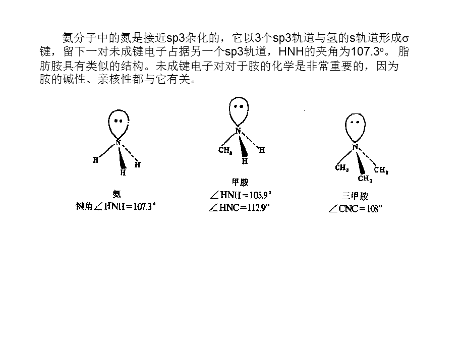 华中科技大学有机化学第十二章胺.ppt_第2页