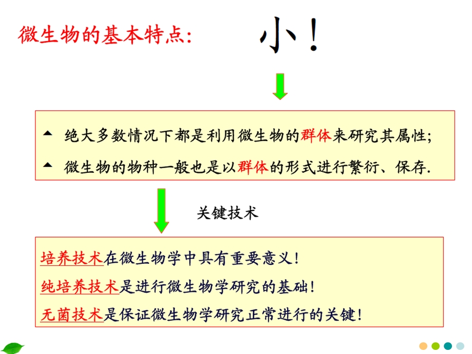 微生物学第二章纯培养.ppt_第3页