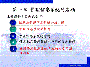 管理信息系统串讲.ppt