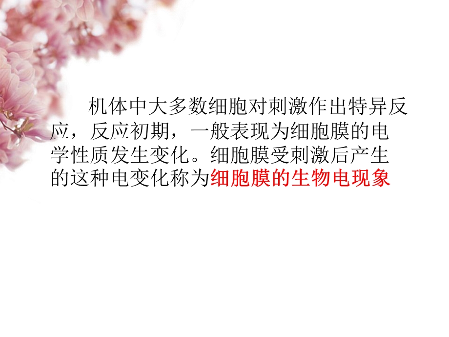 神经元的兴奋和传导.ppt_第2页