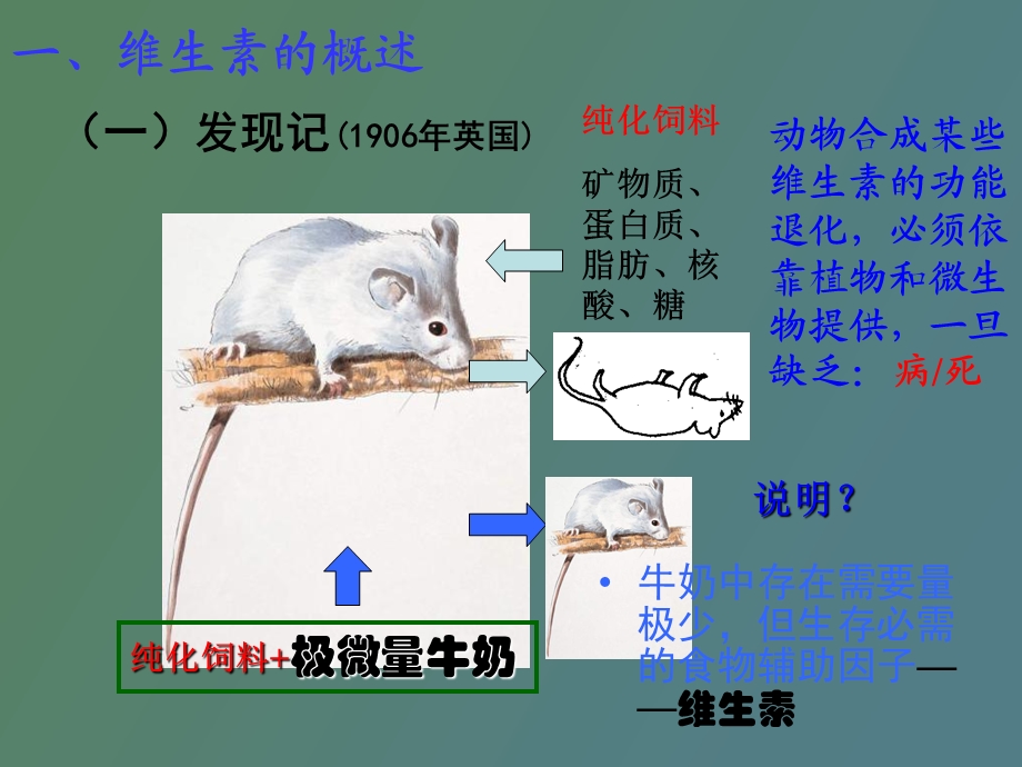 维生素和辅酶.ppt_第2页