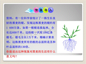 322第三单元第二章第二节植株的生长.ppt