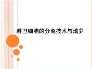 淋巴细胞分离.ppt