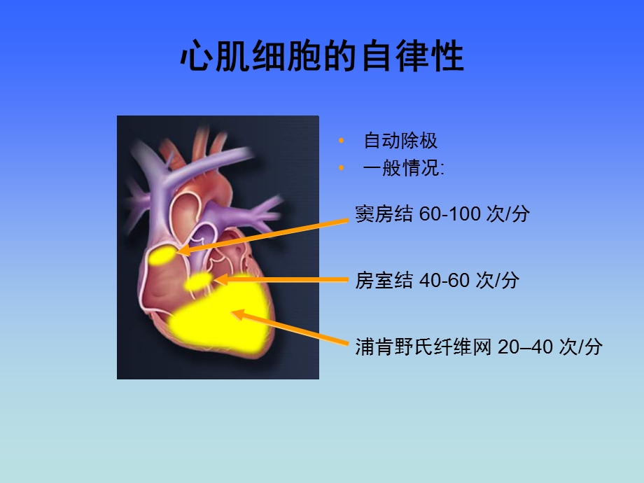 缓慢性心律失常的器械治疗.ppt_第3页