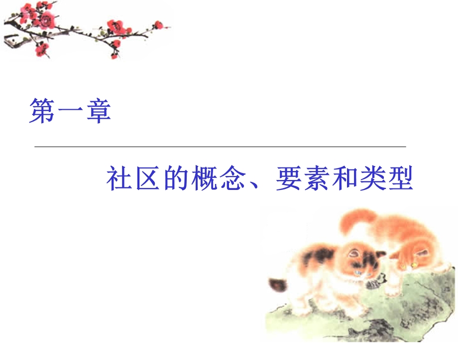 社区的概念要素和类型.ppt_第3页