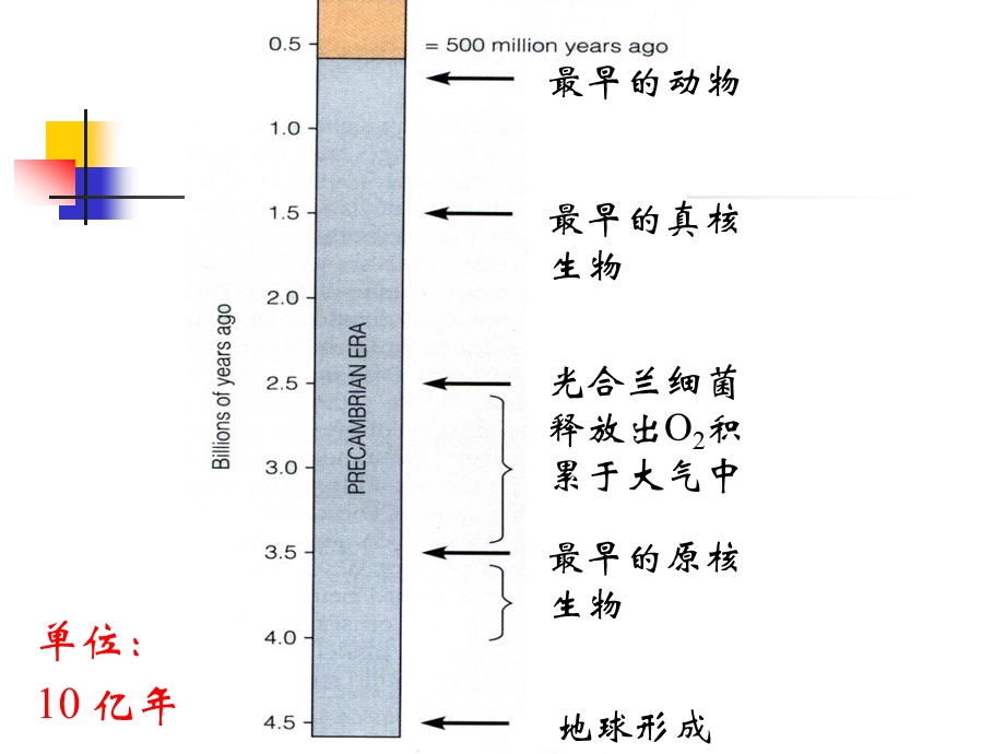 普通生物学第六部分多样性环境.ppt_第2页