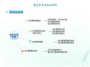 网络经济与企业管理串讲第九章.ppt