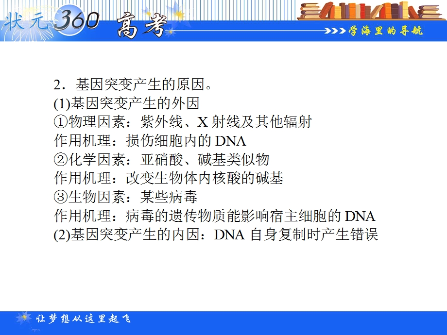 基因突变与其它变异.ppt_第3页