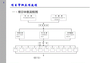 房地产项目审批立项流程.ppt