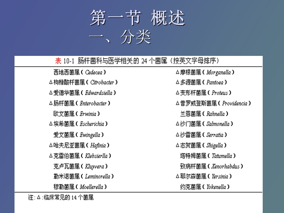 肠杆菌科细菌.ppt_第2页