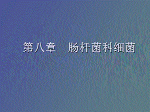 肠杆菌科细菌.ppt