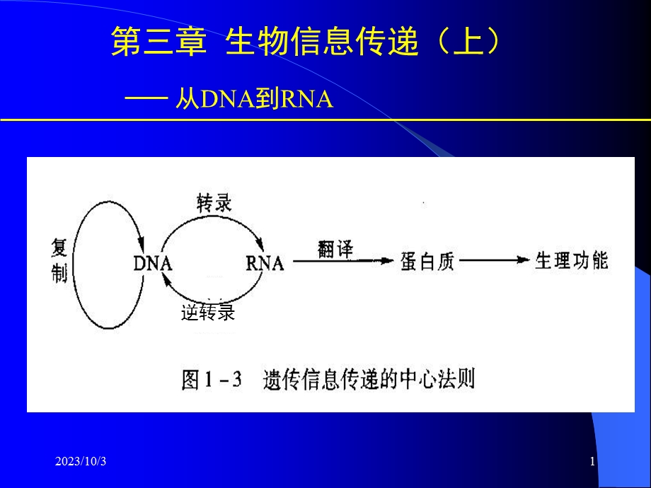 生物信息传递上从DNA到RNA.ppt_第1页