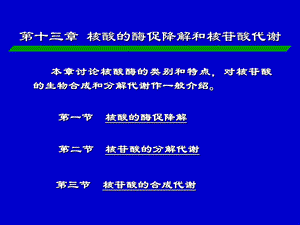 核酸的酶促降解和核苷酸代谢PPT课件.ppt