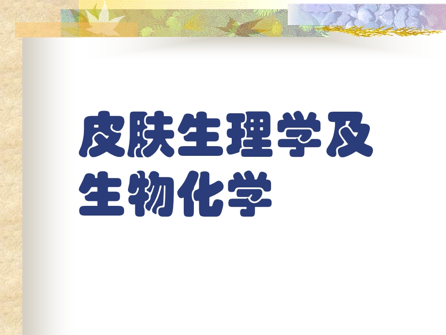 皮肤生理学及生物化学.ppt_第1页