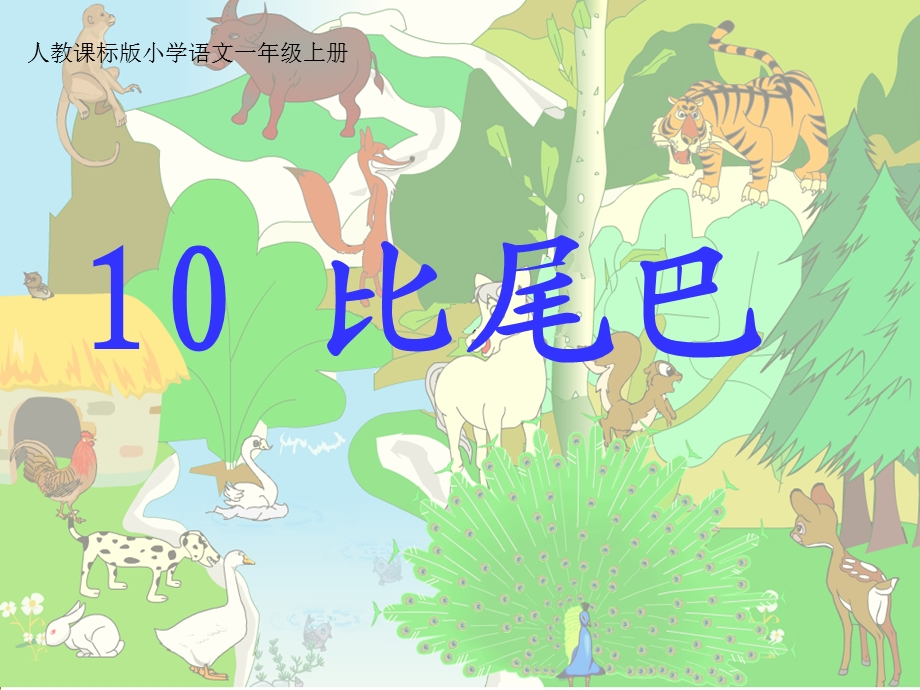 10比尾巴课件.ppt_第1页