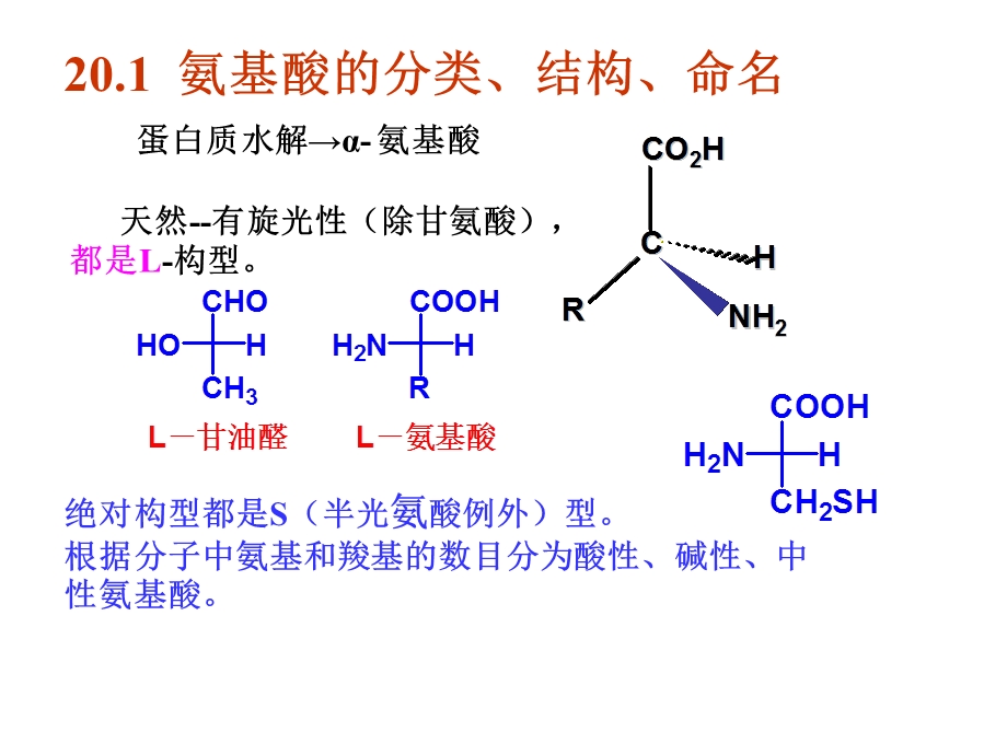 氨基酸、多肽、蛋白质和核酸jia.ppt_第3页