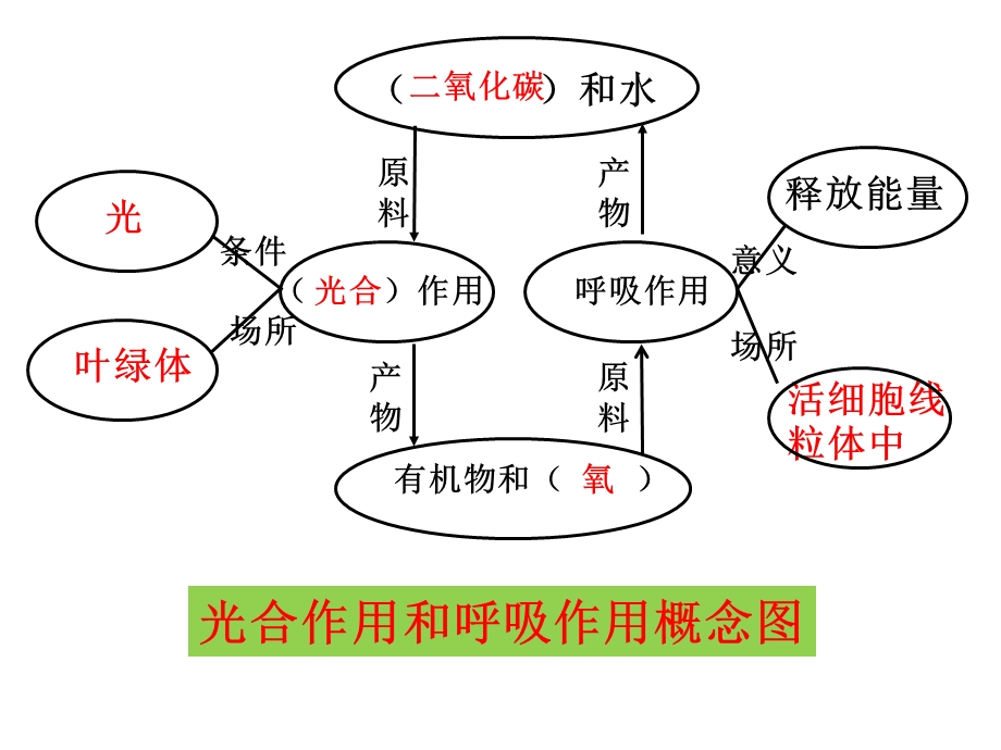 光合和呼吸作用复习课件.ppt_第3页