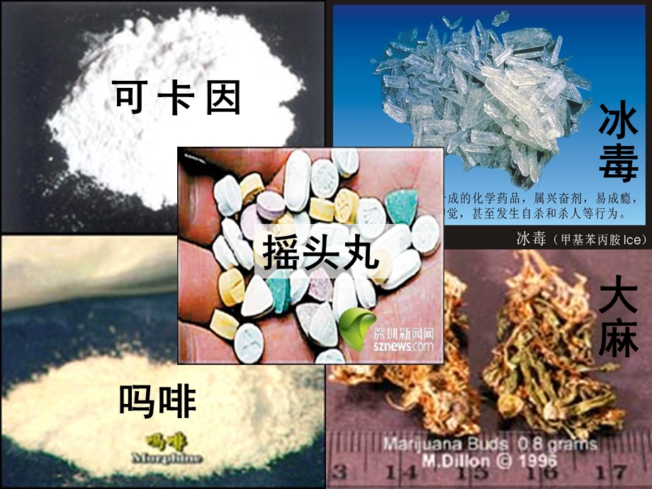 禁毒教育主题班会《珍爱生命 远离毒品 》课件.ppt_第3页