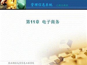 管理信息系统第十一章.ppt