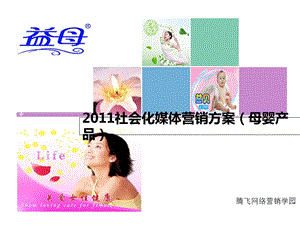 社会化媒体营销方案母婴产品.ppt