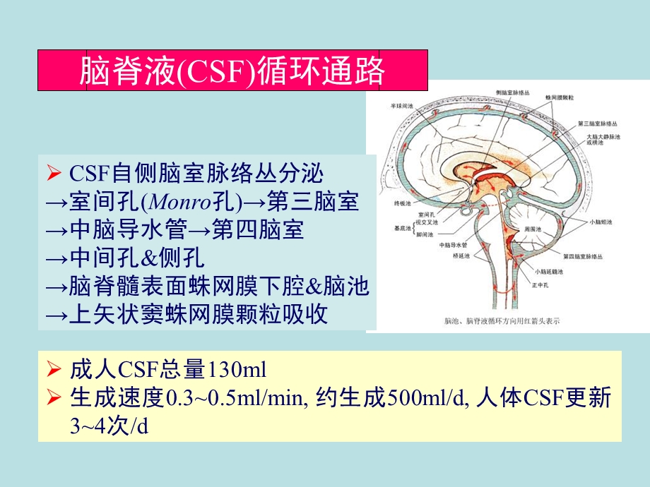 神经系统疾病的辅助检查.ppt_第3页