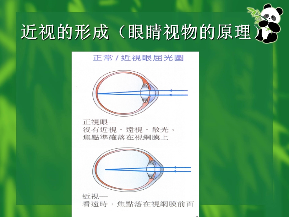 爱护眼睛,预防近视.ppt_第3页