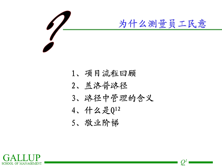 盖洛普Q12调查讲义-员工敬业度调查.ppt_第3页