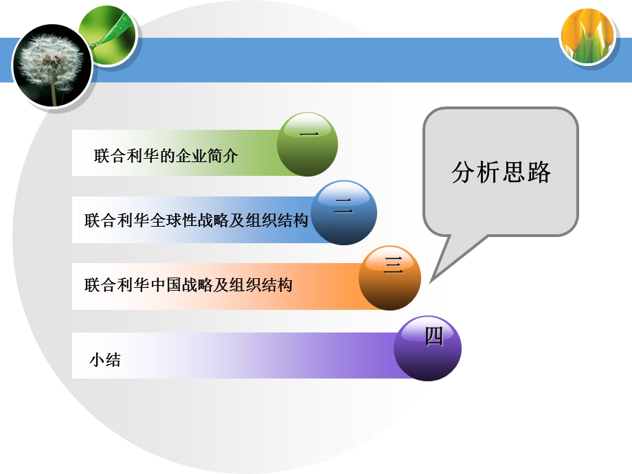 联合利华组织结构分析.ppt_第2页