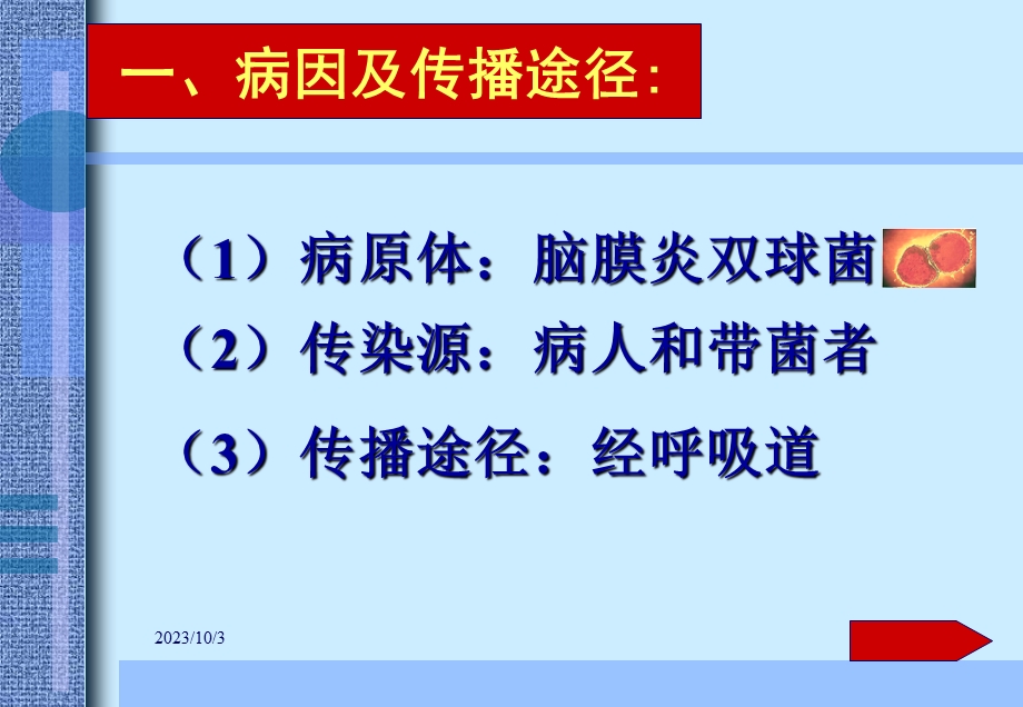 神经系统疾病病理学教研室.ppt_第3页