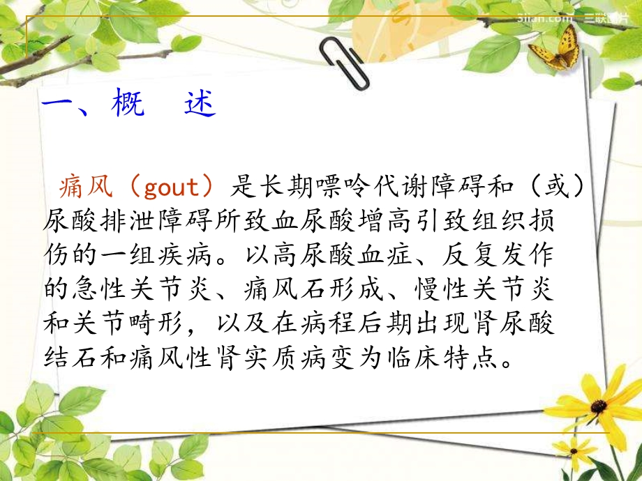 痛风患者的自我管理.ppt_第2页