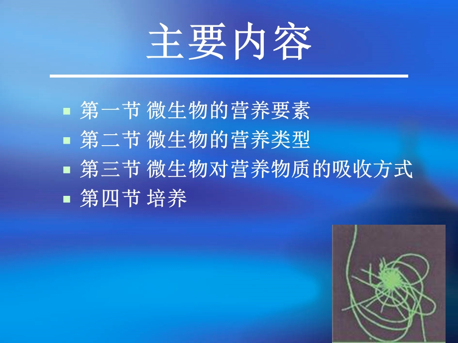 微生物的营养及培养基.ppt_第2页