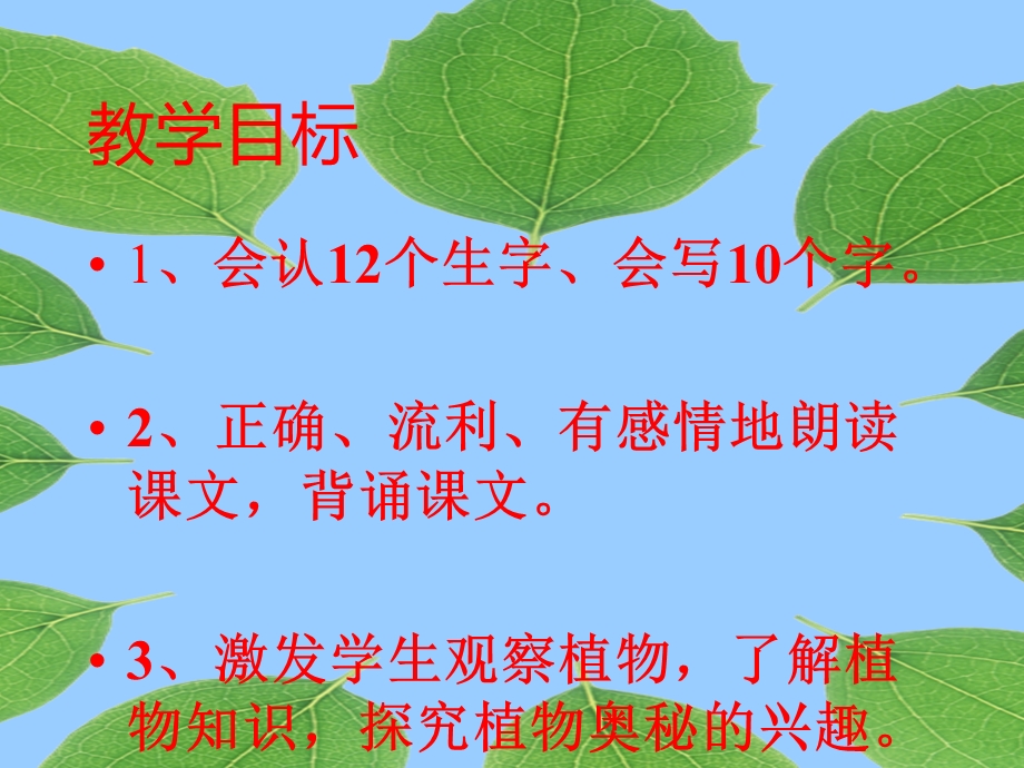 3植物妈妈有办法 .ppt_第2页