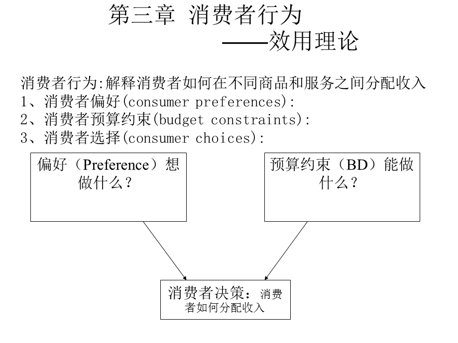 消费者行为理论-效用理论.ppt_第1页