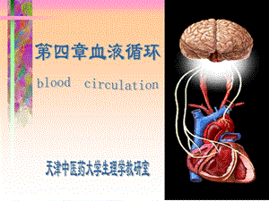 人体解剖生理学课件第六章循环系统的结构与功能1.ppt