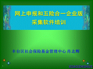 网上申报培训演示企业及个人部分.ppt