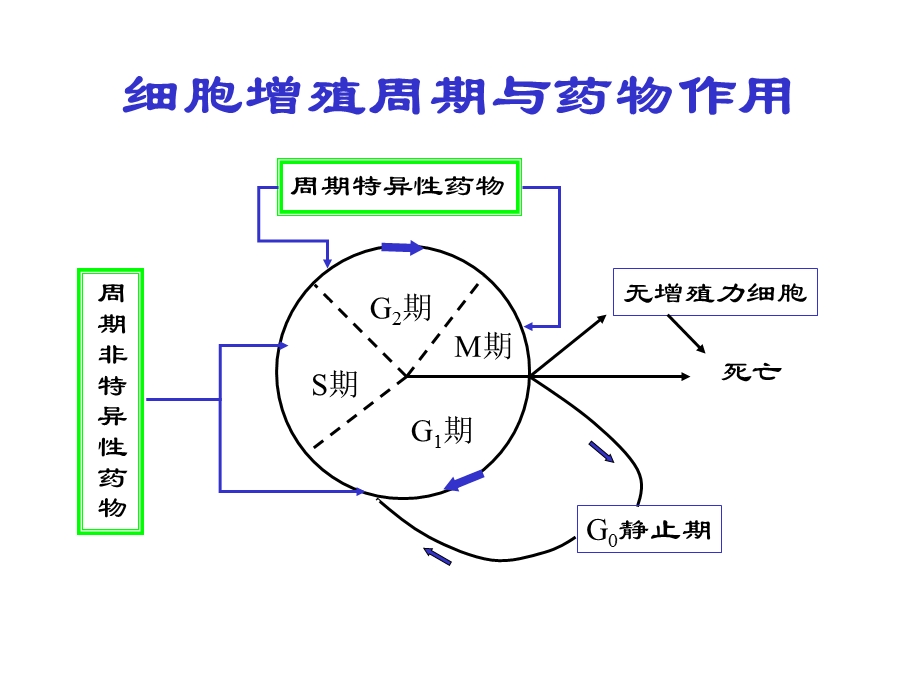 抗肿瘤药物治疗评价.ppt_第3页