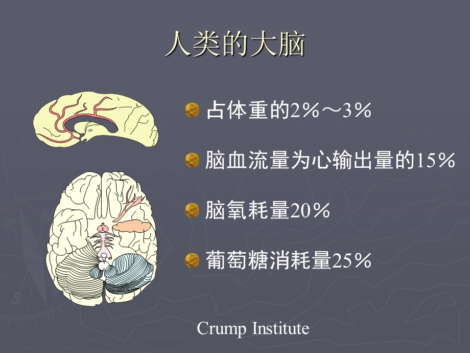 痴呆的早期诊断和预防.ppt_第2页